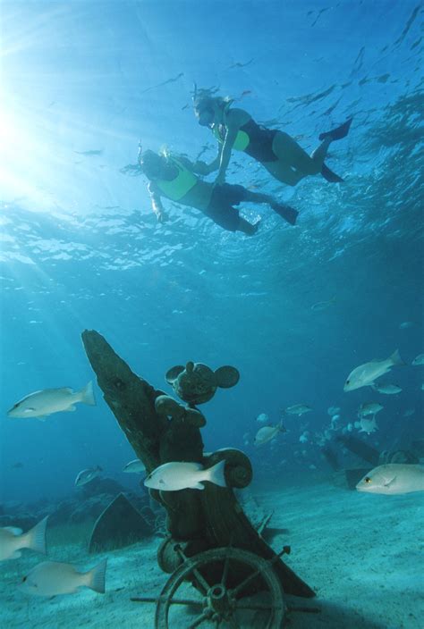 Discover the Magic under the Waves in an Island Lagoon